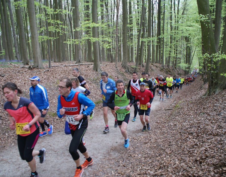 Hyacintenjogging 2016 - 115